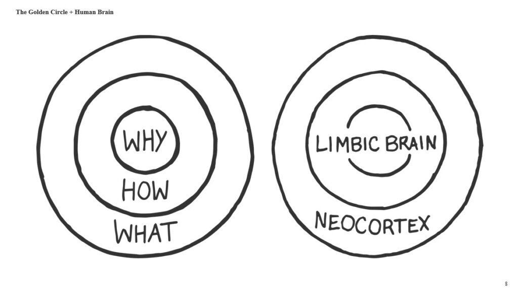 Golden Circle of Human Brain graphic